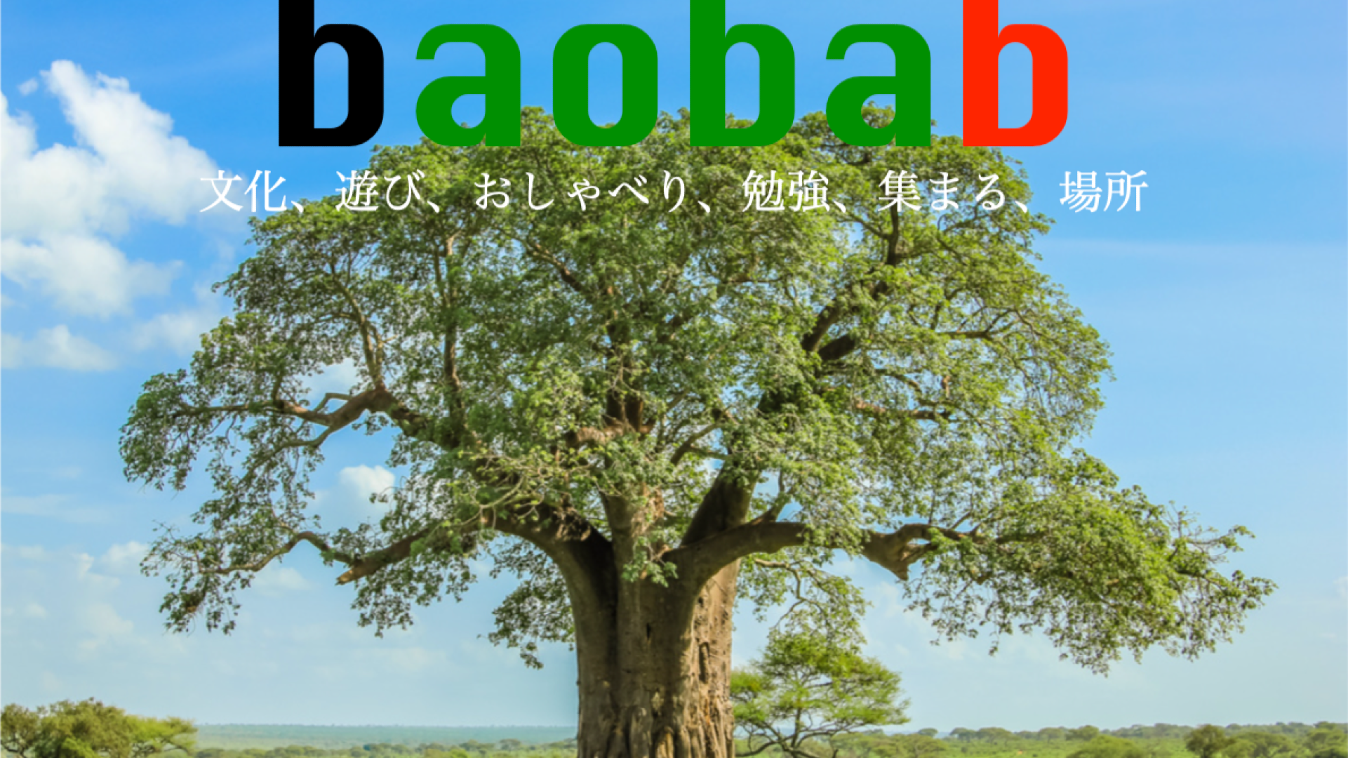 2024年9月にアルファード商店街のコアとしてスペースbaobabがオープンしました